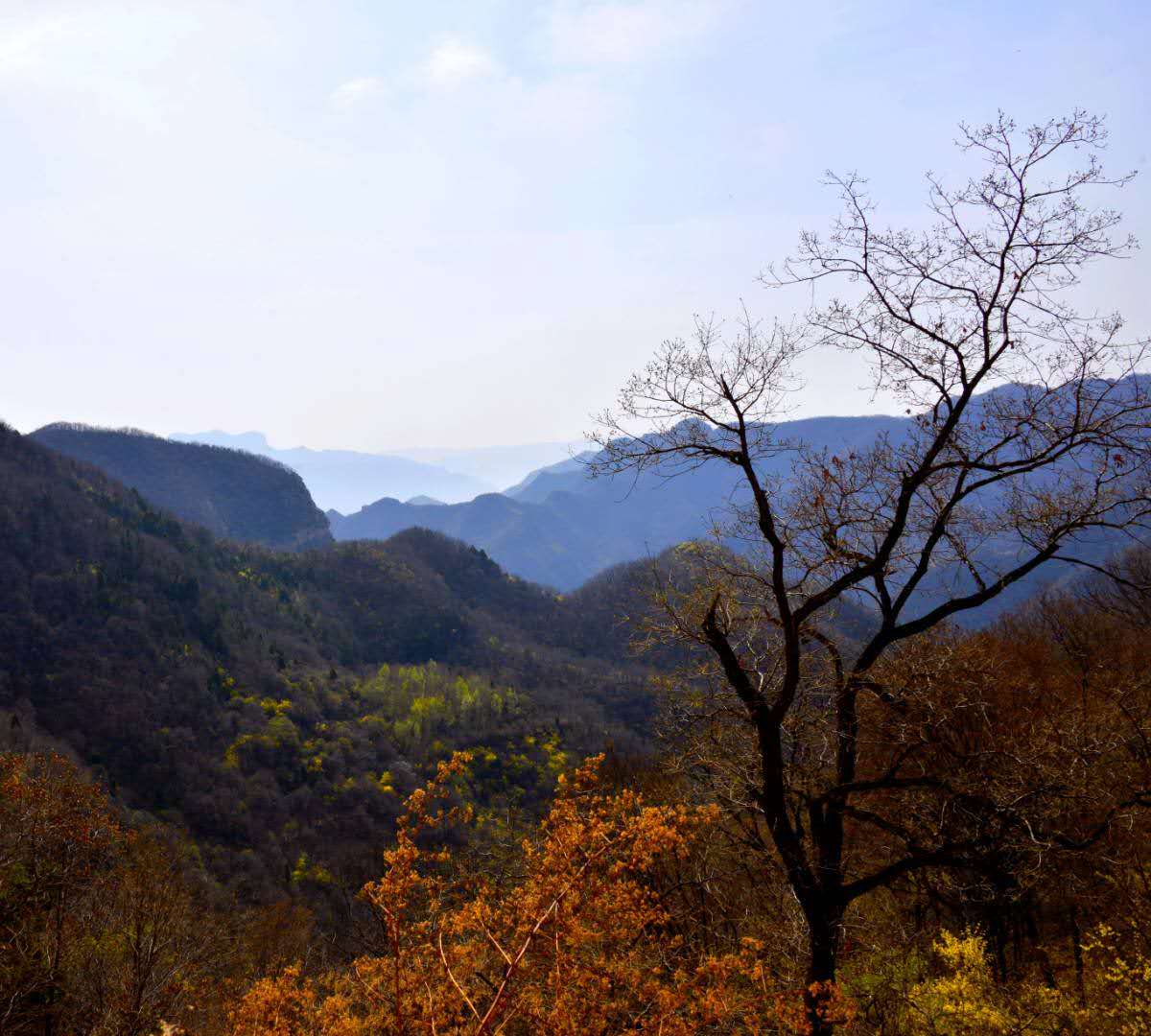 山西左權:百里畫廊—蓮花巖生態莊園自然風光_景區