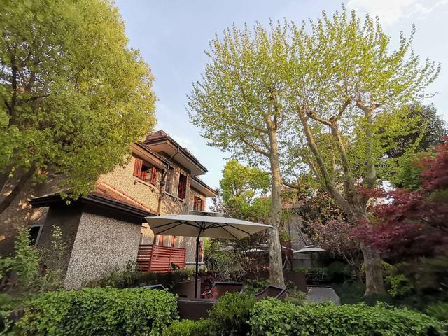 上海这条马路集中了20多幢花园式老洋房其中有2幢很出名