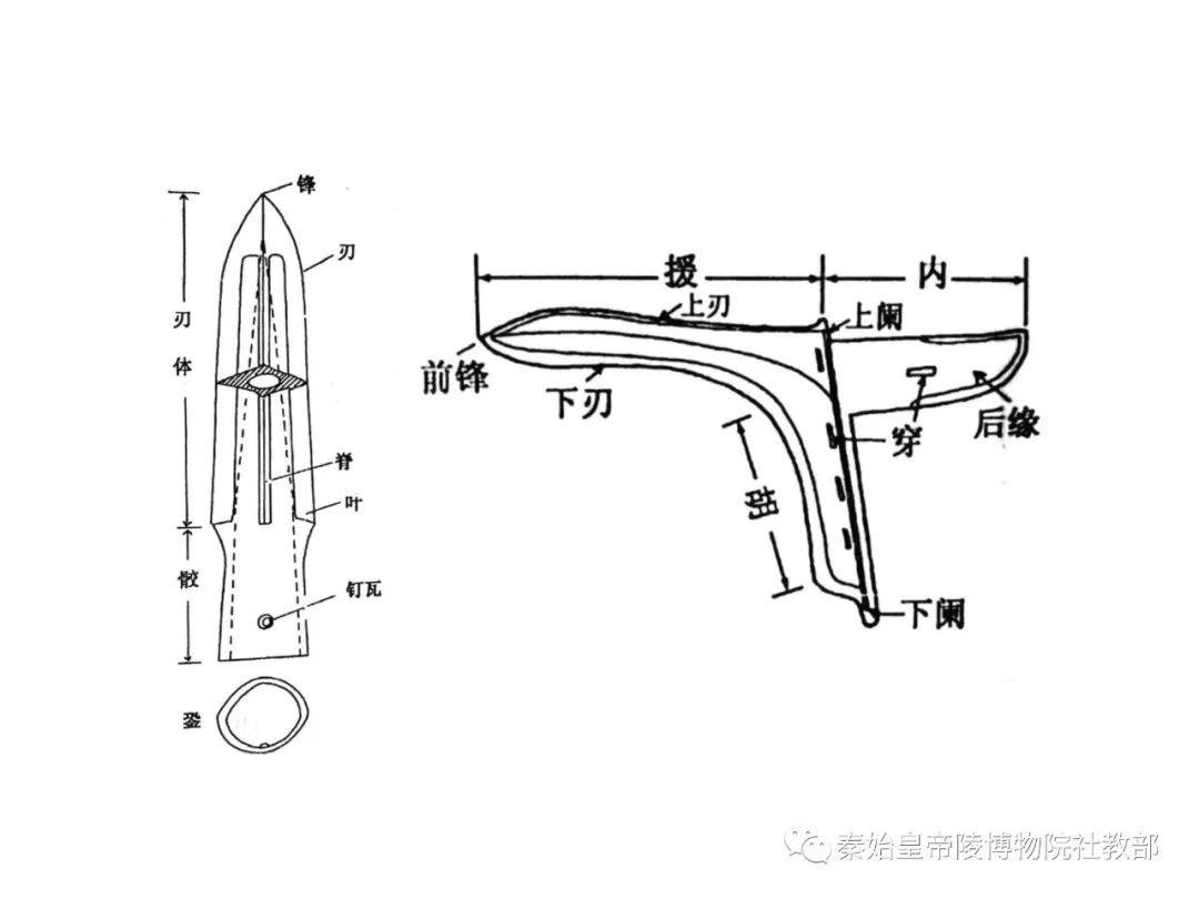 96秦俑百问秦代的矛,形制已经基本稳定,细部特征的变化表现为风槽的有