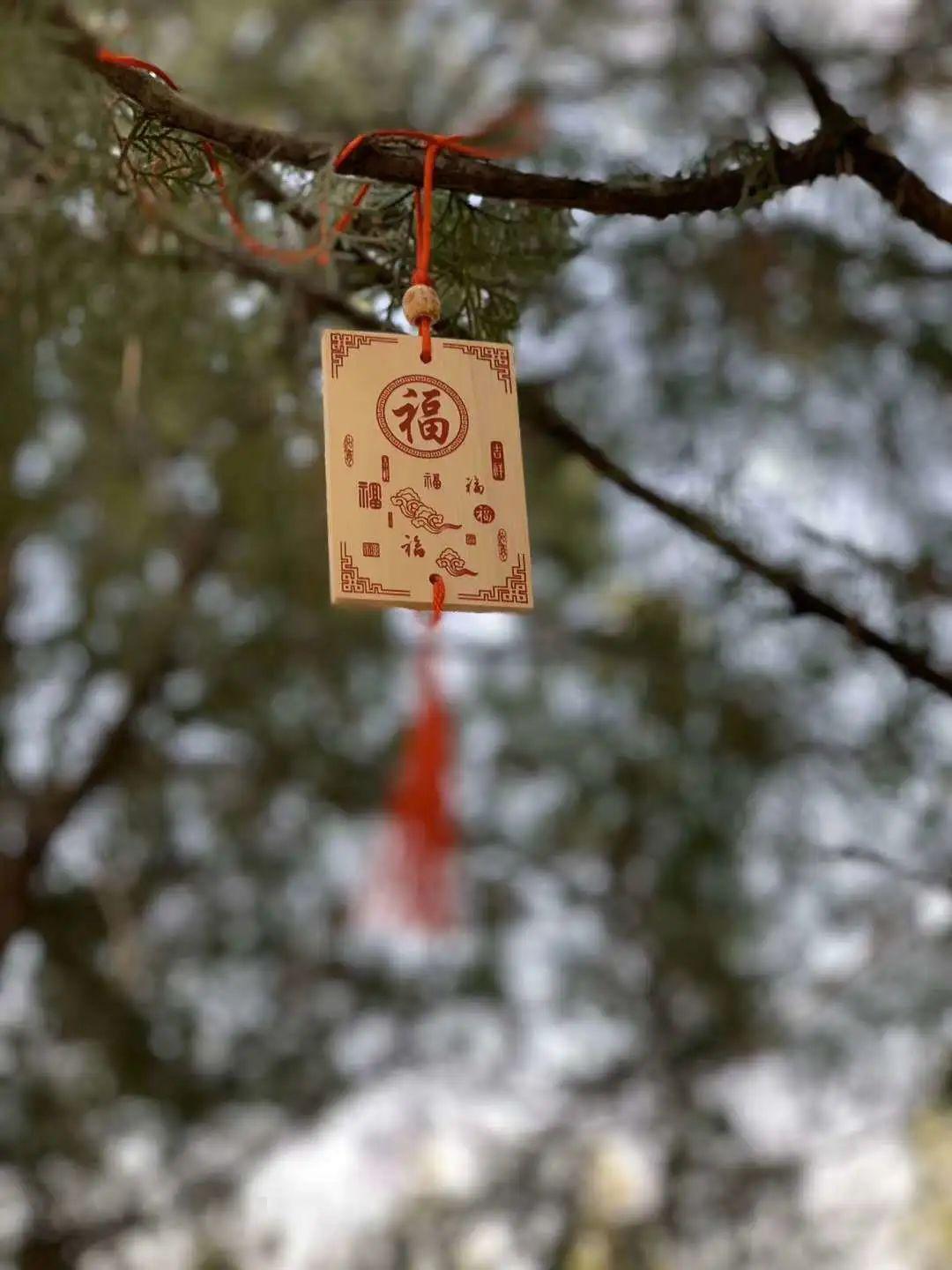 豪才越野跑 環保祈福行 ——山東豪才律所