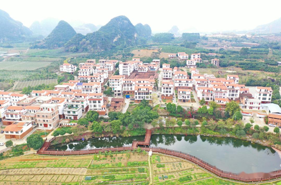 武鸣双桥这个村真给力荣获中国少数民族特色村寨称号