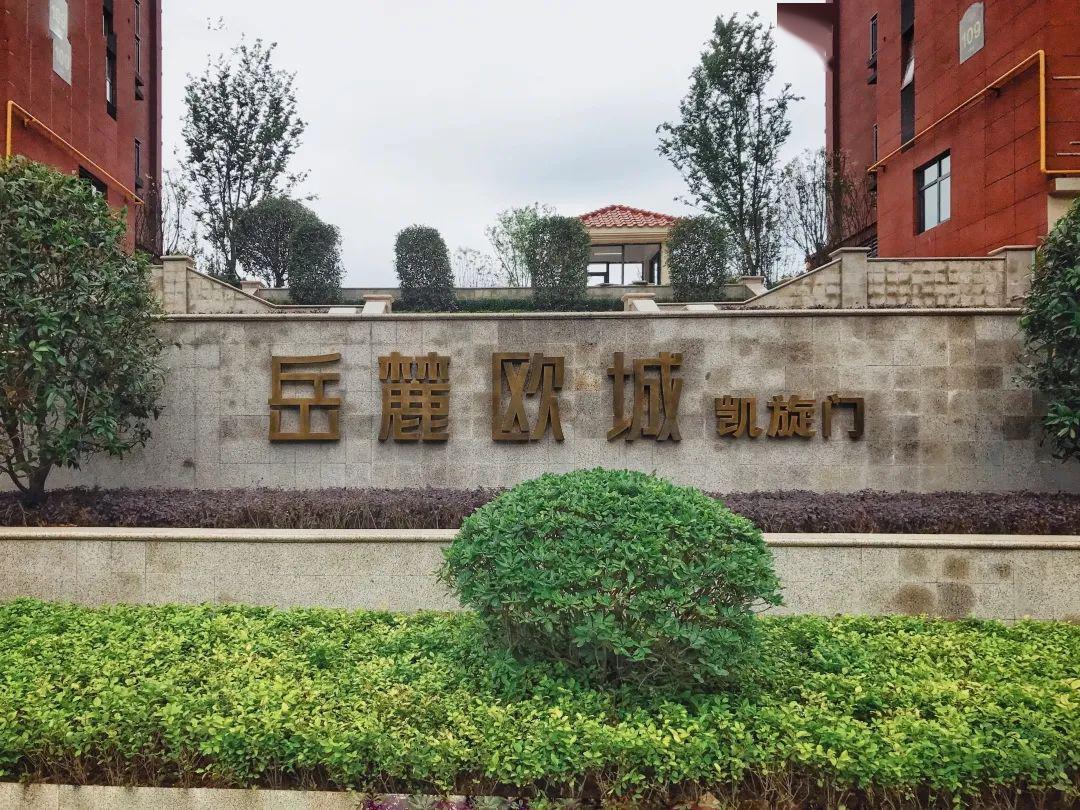 仅1套4期现房带装修带学位特价速抢