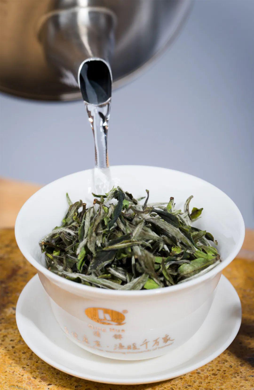 白牡丹的泡法重在一个轻字