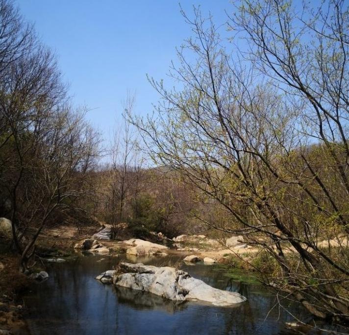 【学习强国(8)】一抹秀色 春潮如水|春色又染彩云谷_确山