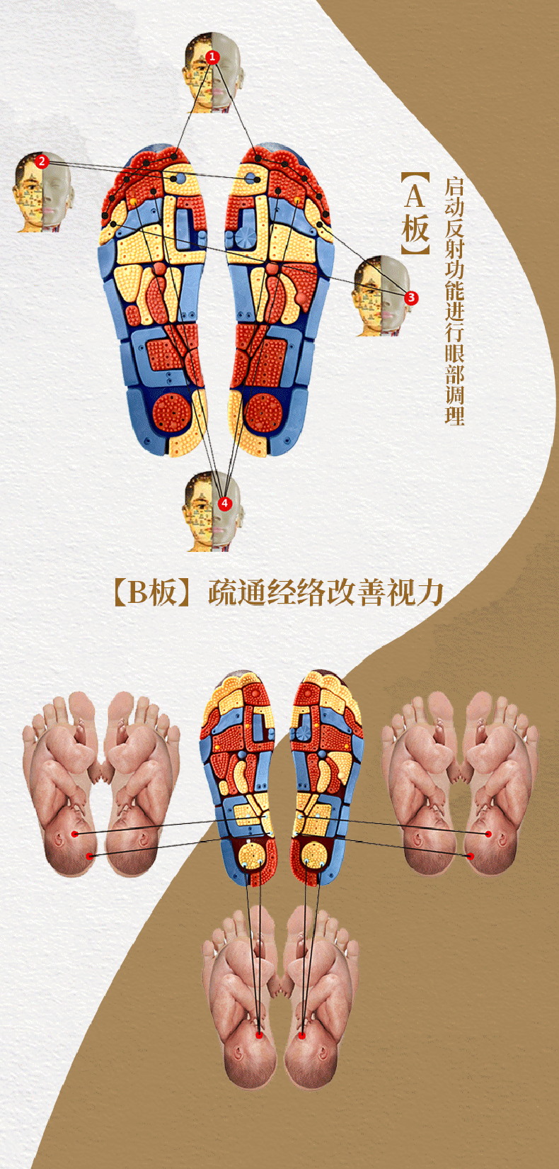 足底穴位功能图表》的适用范围,准确选取足反射穴位点和足针穴位点