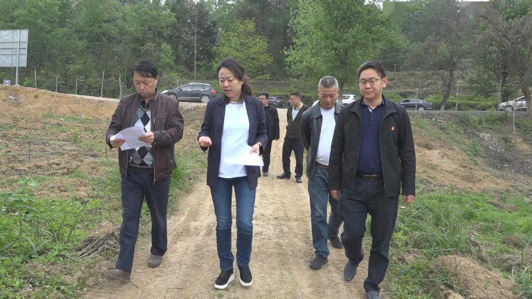 张丽芳带队到各镇(街)督导农业产业结构调整,村社合一等工作开展情况