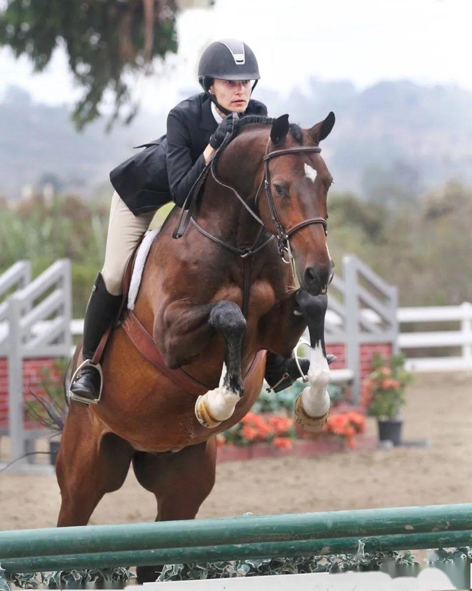 他会记住lisa的喜好,比如他始终惦记lisa爱骑马,于是偷偷在他的购物