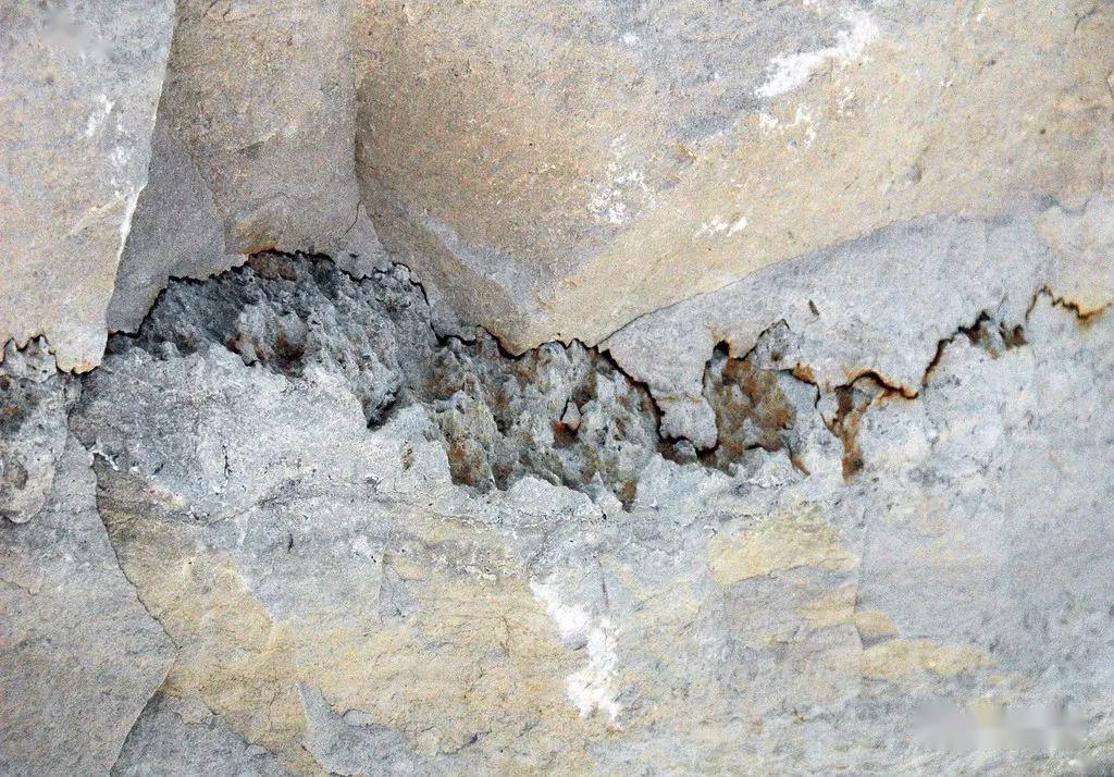 石灰岩缝合线构造08这样的风化过程称球状风化.最终趋向球形.