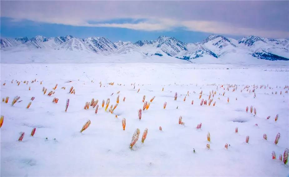 组图,那拉提春雪美如画!
