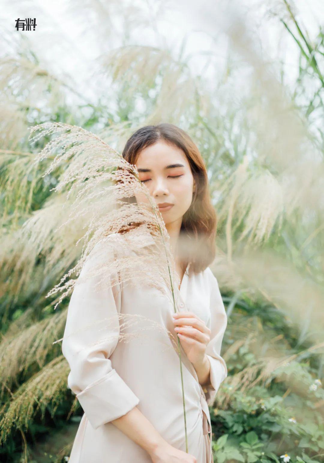 终于东莞人把这片芦苇丛爆出来了