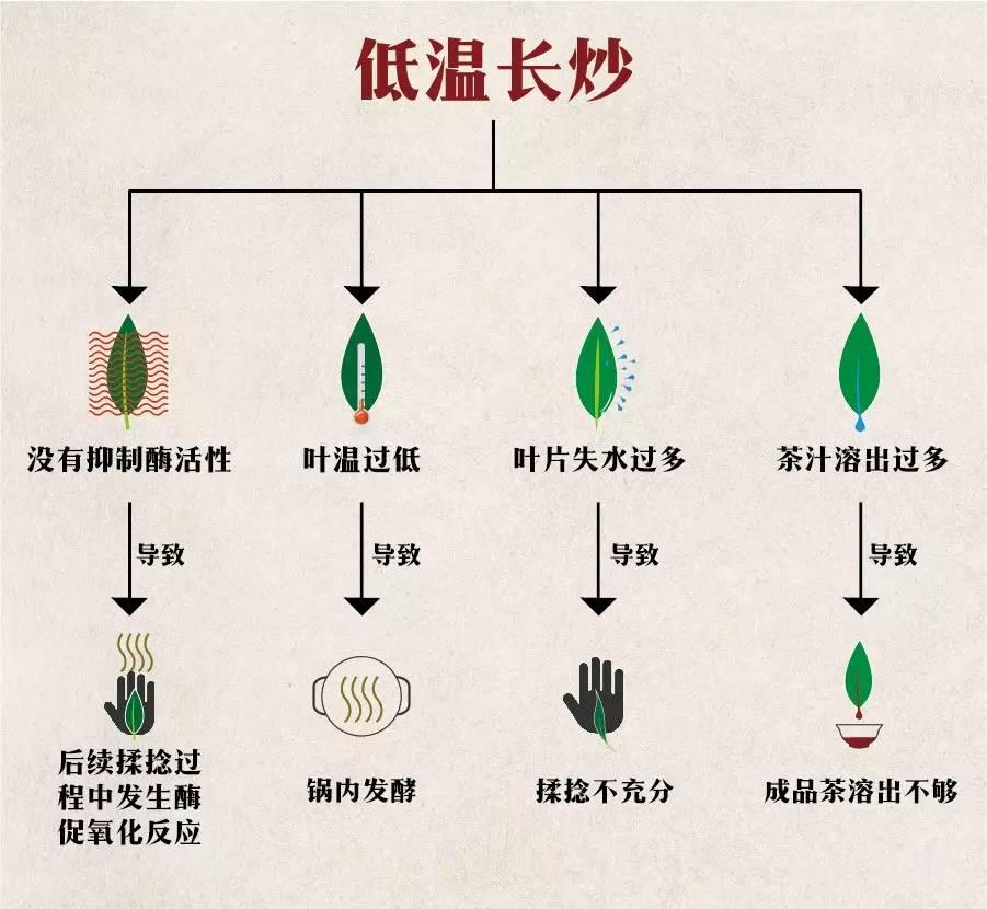 方可说茶云南普洱茶加工工艺对后期存储醇化的影响之一
