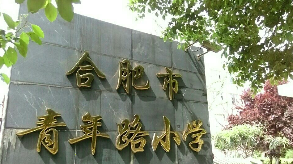 合肥知名小学解析第三篇走进合肥青年路小学