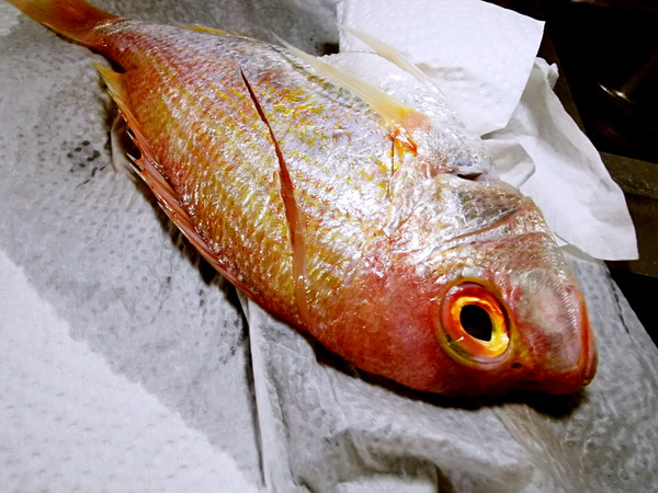 赤宗鱼(黄翅鱼也行,只要适合干煎都行),香椿,意大利面,肉馅,洋葱,蒜头