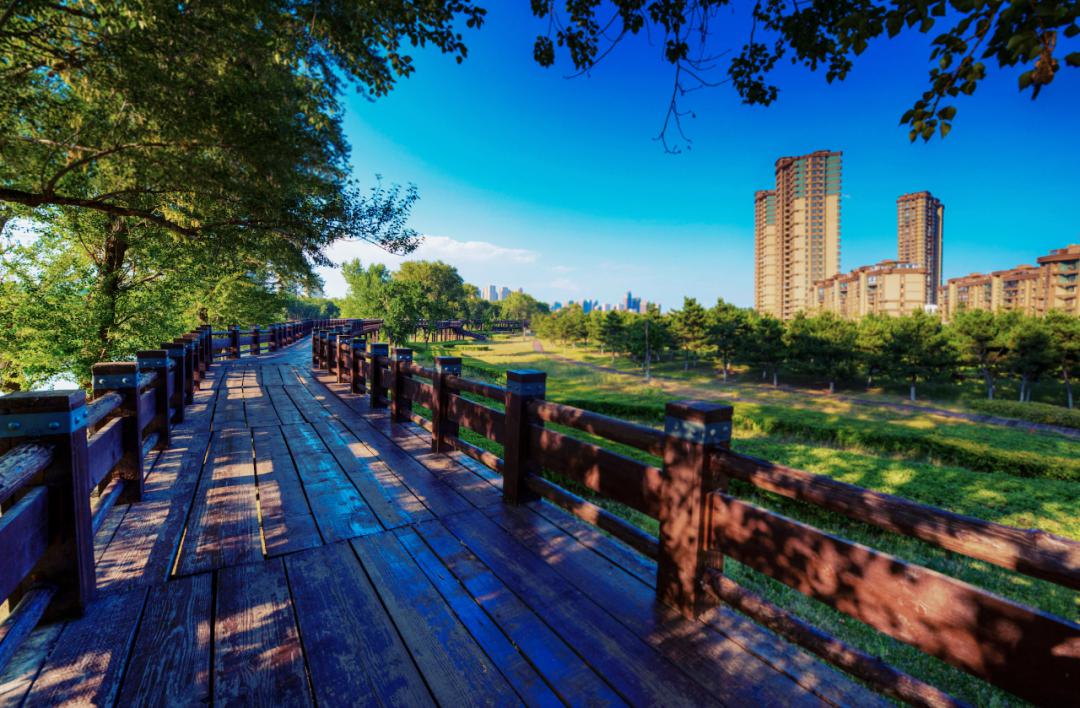 沈阳这个地方被朋友圈刷屏了!火速围观!_沈北