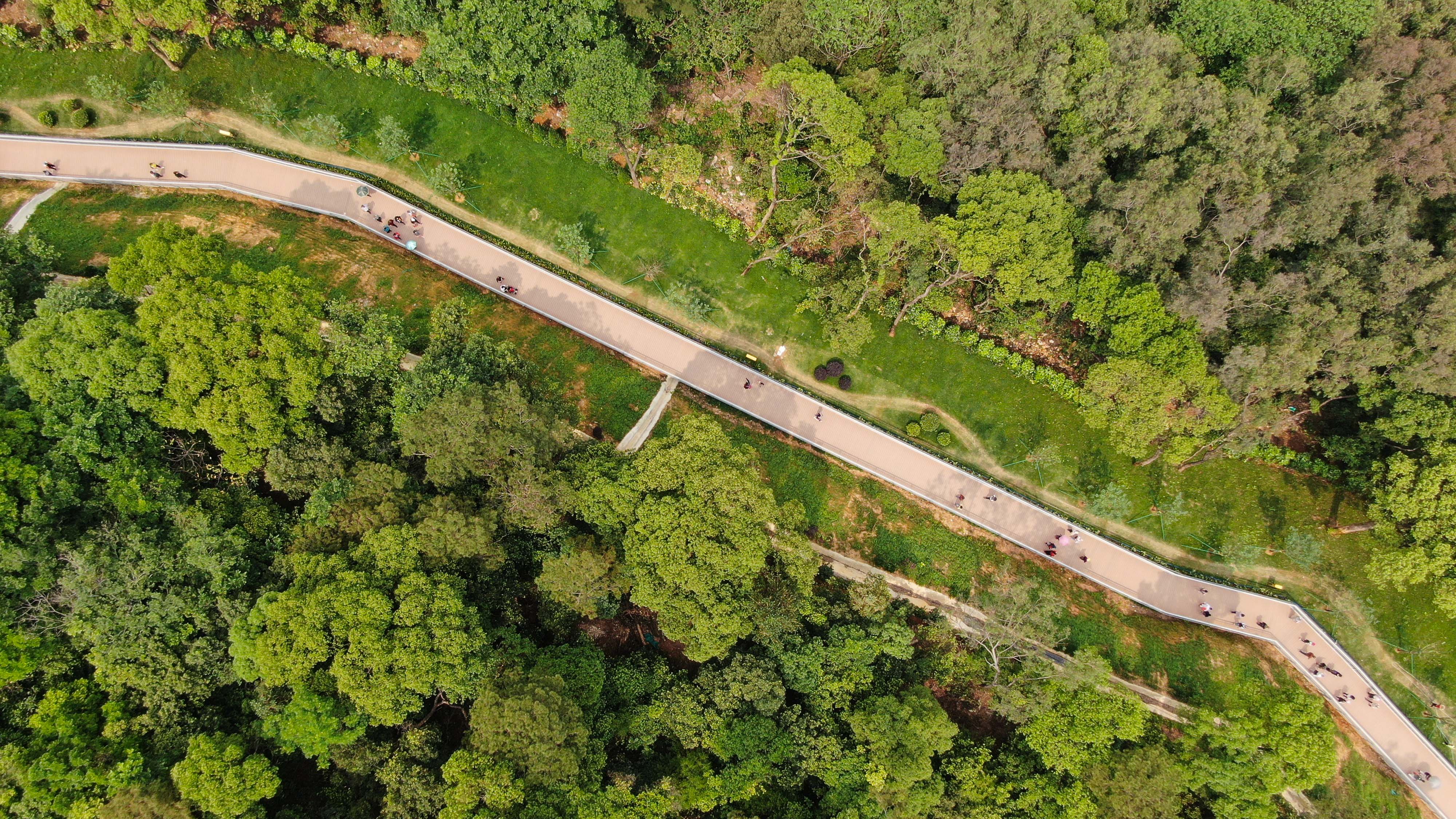 这是4月17日拍摄的广州空中步道下塘西天桥附近景观(无人机照片)