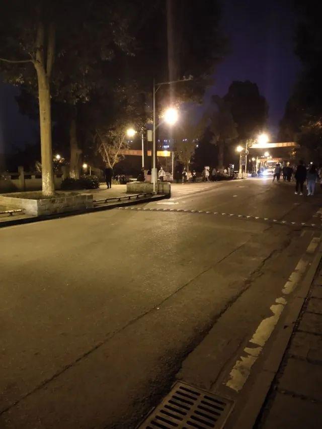 我想你们了真的