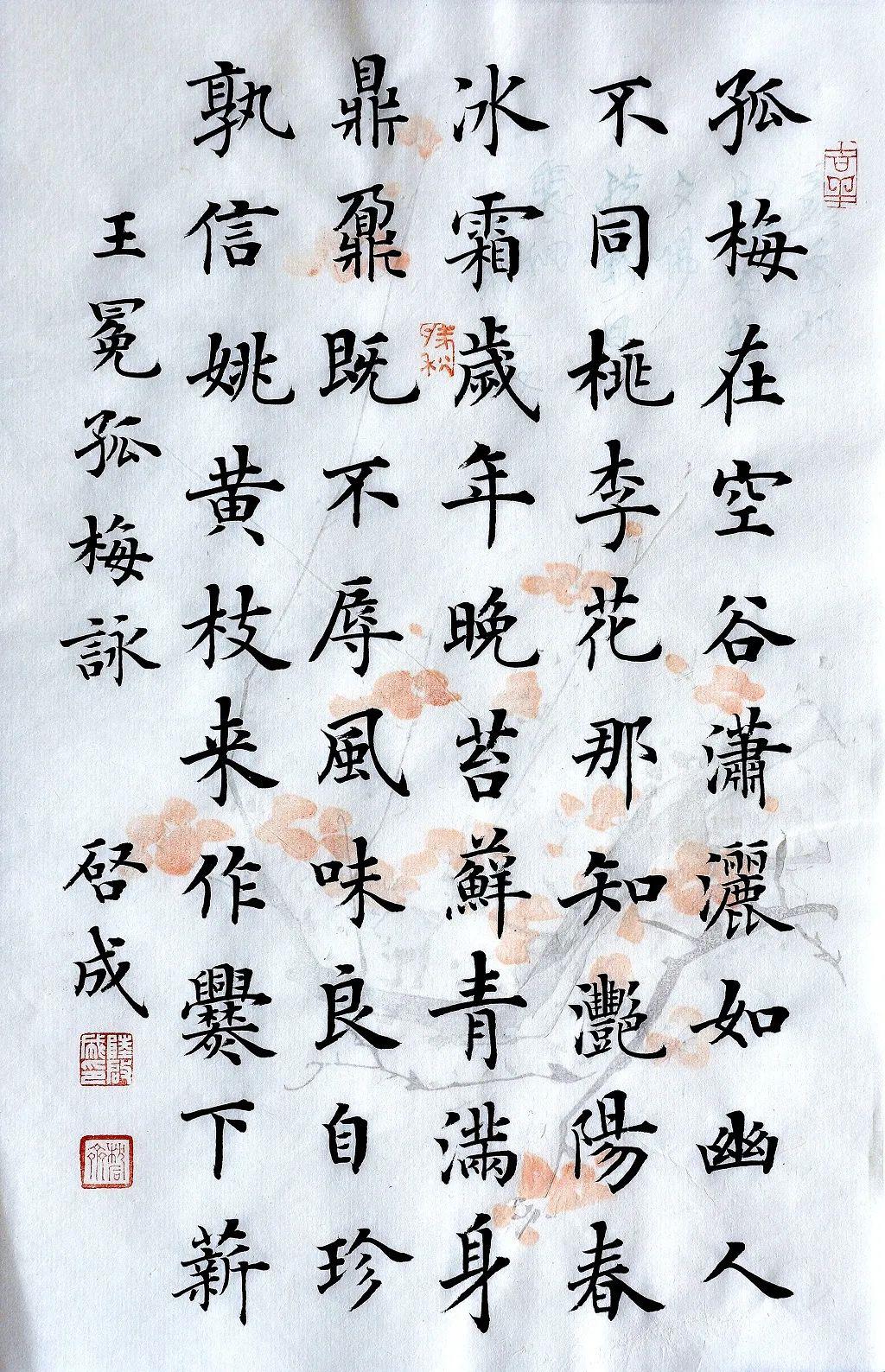 书画欣赏陆启成楷书梅花诗词30幅一股暗香扑鼻来