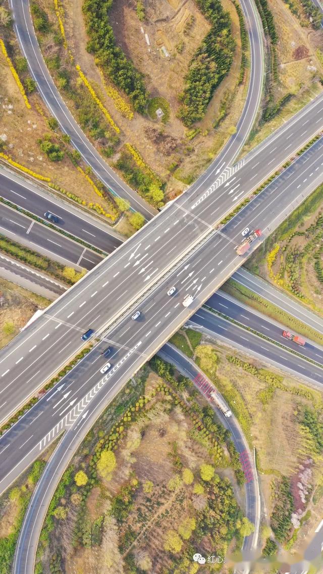 青岛西海岸新区红石崖街道隔屏有花香共赏人间最美四月天