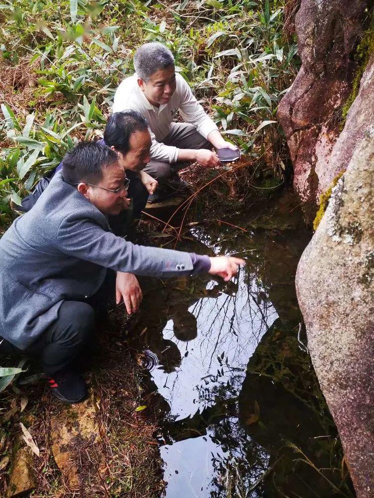 3月22日下午,我与治飞,永槐,军斌来到石梁镇龙皇堂村,攀雨伞岩之后山