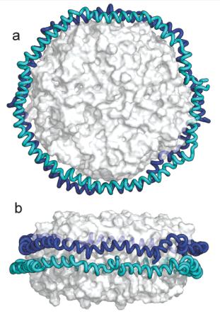 nanodiscs在膜蛋白中的应用