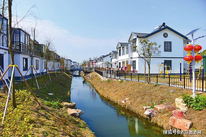 江苏盐阜大地奏响春之曲美丽乡村入画来