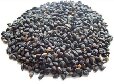 黑苦荞茶对降血脂,降血脂,降低血脂有一定的功效.