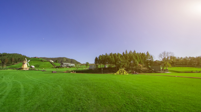 599元2晚温州新开落在草坡上的绿色盒子酒店速抢