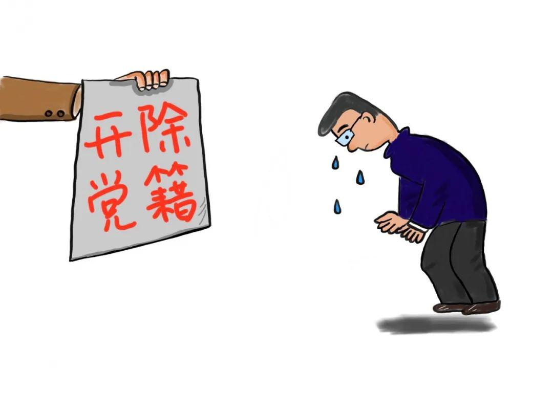 画说违纪拖欠群众钱款80后村干部被开除党籍