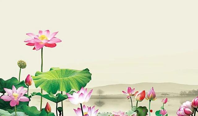 用记忆法记小学必背课文荷花