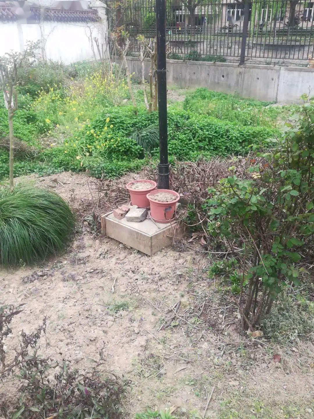 曝光台丨不文明乱象依然存在这些点位请注意