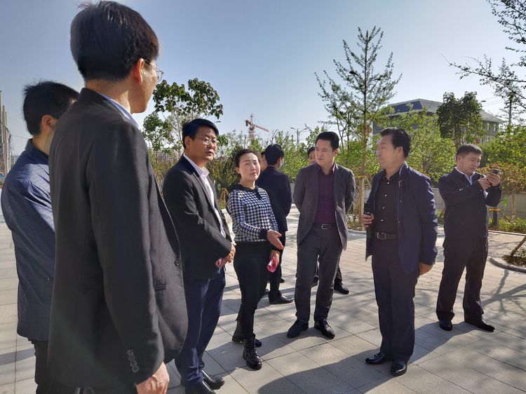 渭南市督察组就全市重点项目来合阳秦晋大酒店视察调研_杨景荣