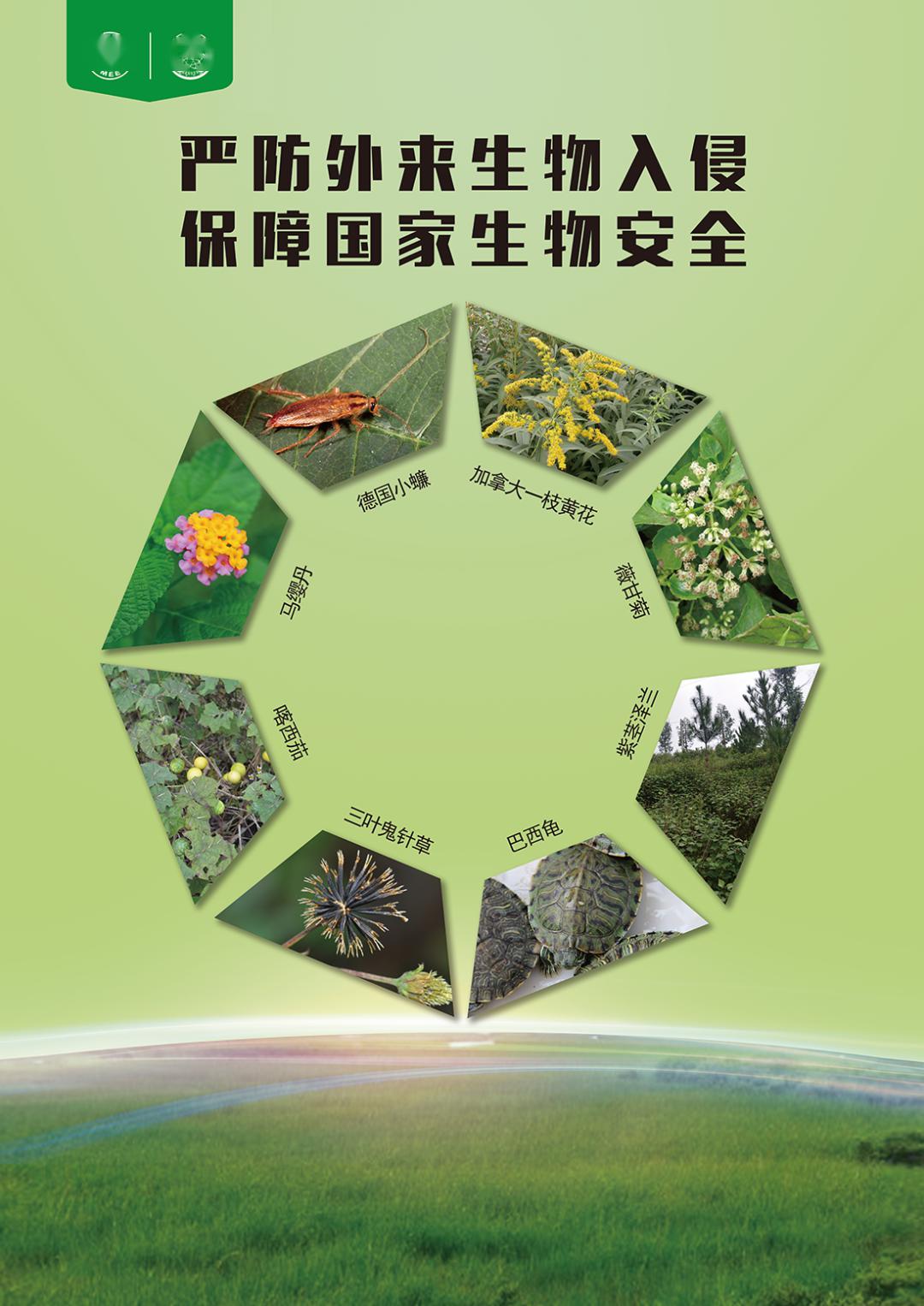 发布会参考丨安全第一 预防为主 保持中国高水平核安全_生态