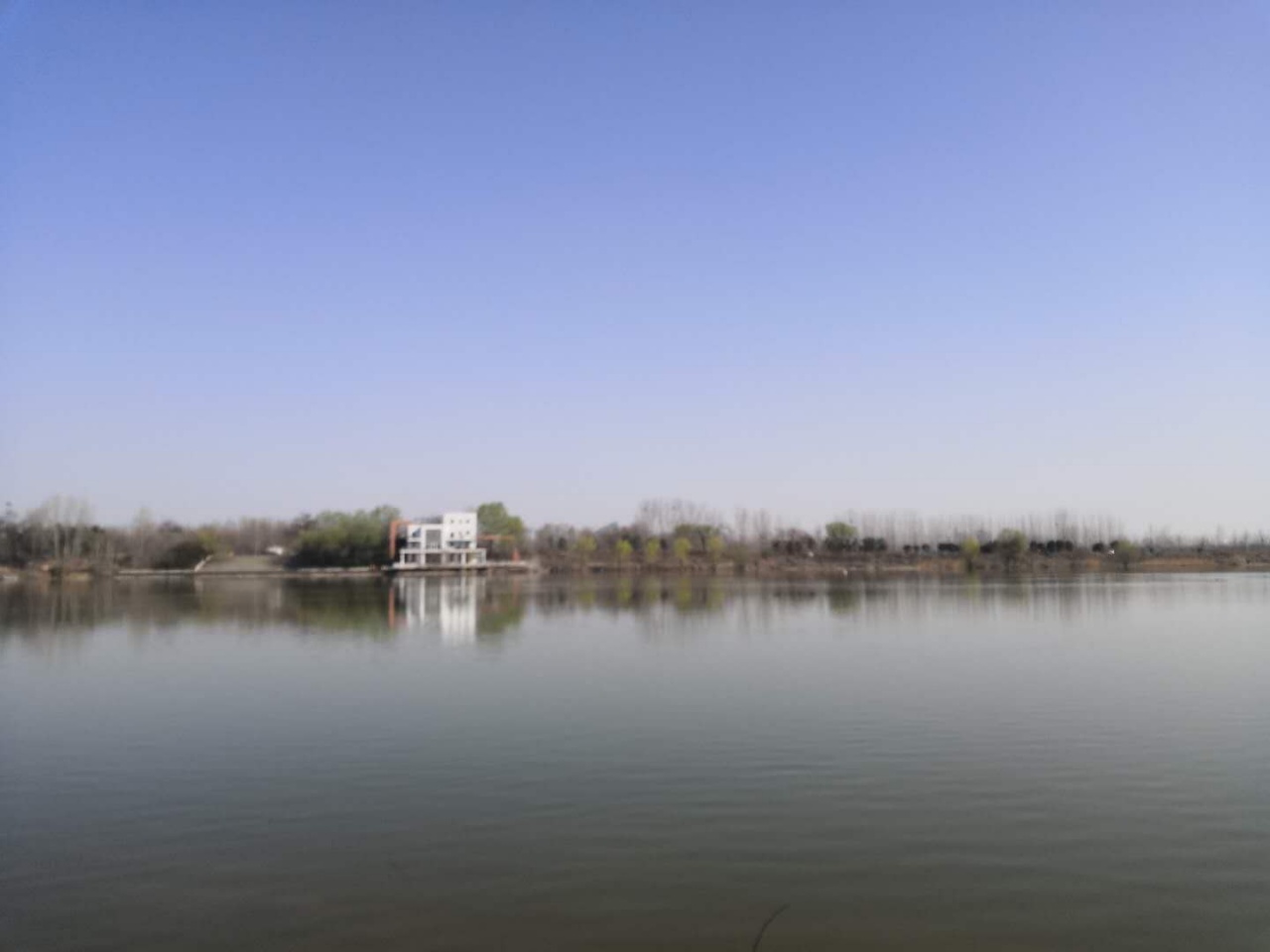 还有一个免费钓鱼的好地方,天河路大堤口的岗李水库,200多亩的水面,水