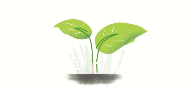 640_316gif 动态图 动图