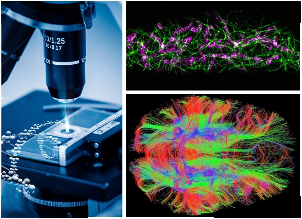 传统结合现代创新南京微纳科技研究院致力解决人类新需求