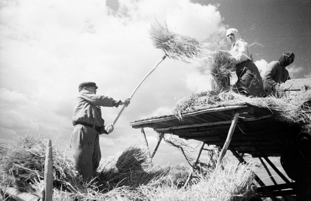 一组前苏联乌克兰乡村女人的珍贵图片