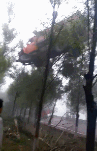 【搞笑图片】这卡车是大风刮来的吧 挂到树上了