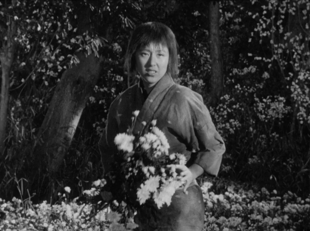 《七武士》,在农民与武士阶层不可逾越的鸿沟中折射人性的纯良_黑泽明