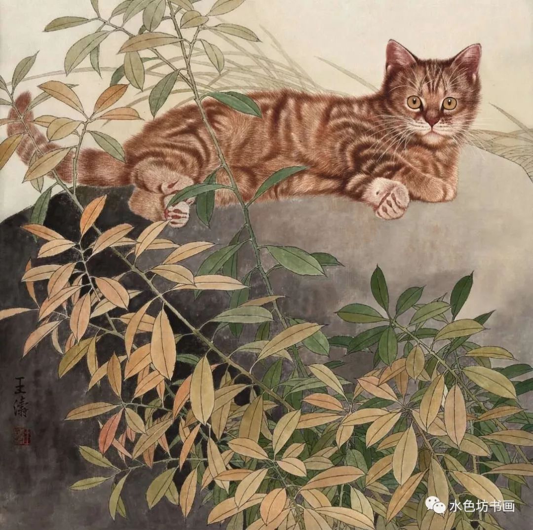 画家专栏│王涛实力画猫名家栩栩如生跃然纸上