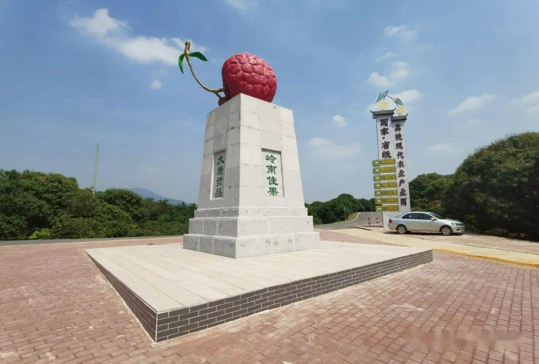 直击中国荔枝第一镇茂名荔枝长成这样了