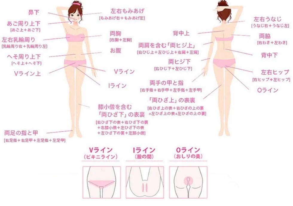 脱毛细分部位小到上唇毛,大到三角区,全身上下多达28个部位!