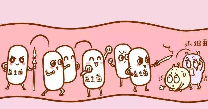 消化系统疾病的营养疗法