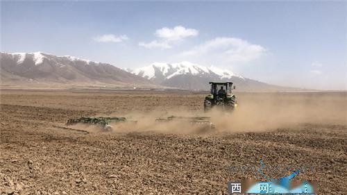 青海浩门农场3万亩青稞基地有序春耕