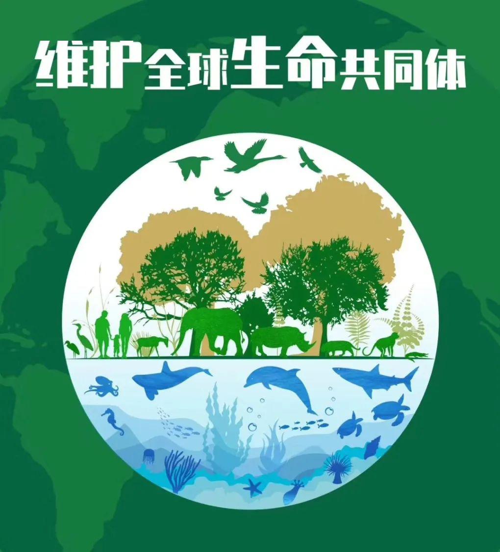 如皋市如城光华幼儿园向全体家长发出"呵护自然·保护动物"倡议活动