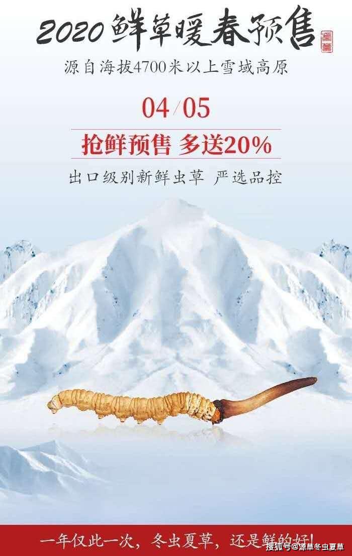 2020源草新鲜冬虫夏草,一年一度鲜草季来临.