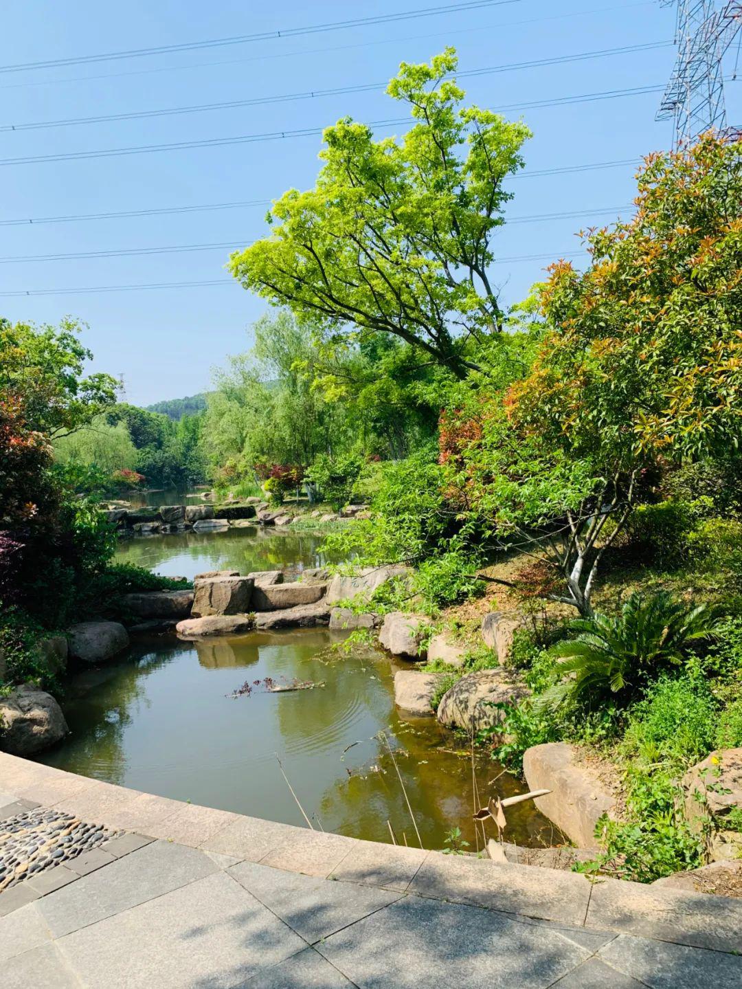 九真桃源踏青游〡享受春光,体验青山绿水