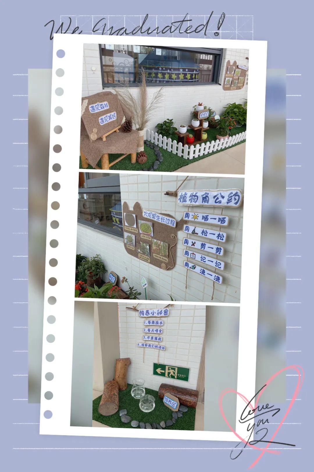 班上教师根据自己对本班幼儿的了解,创设他们感兴趣的环境,并在植物角