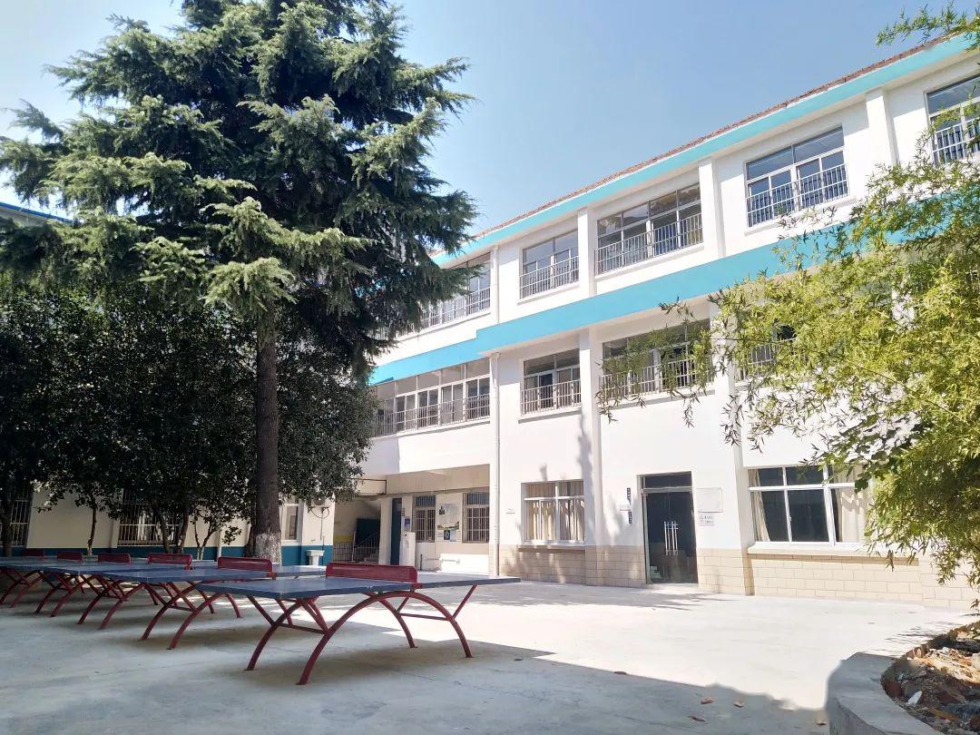 西仓桥小学疫情阻隔不了春天的和煦阳光,更阻隔不了莘莘学子对校园的