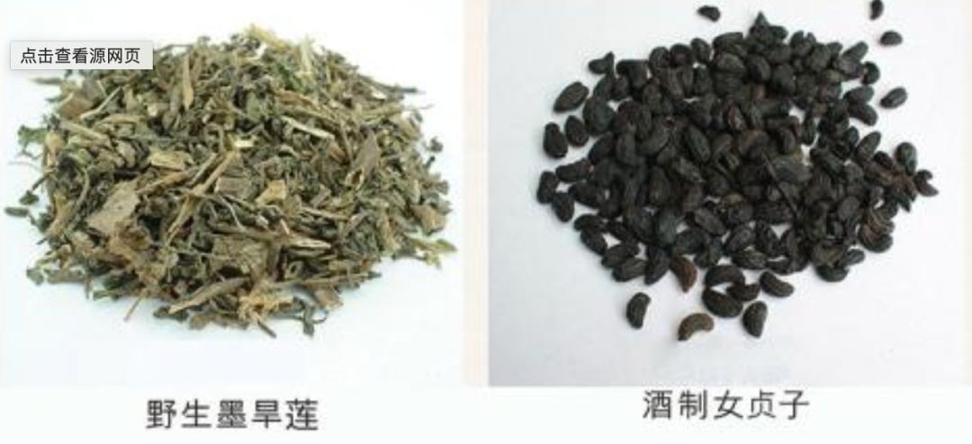 白发最好用的方子,2味中药代茶饮,一个特效穴,补虚又乌发