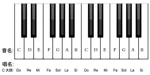 36键电子琴音阶图图片